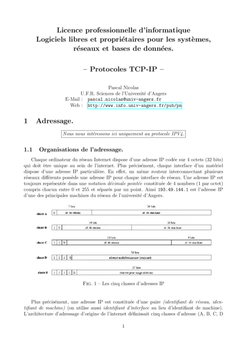 Protocoles TCP-IP - Maîtriser les bases des réseaux