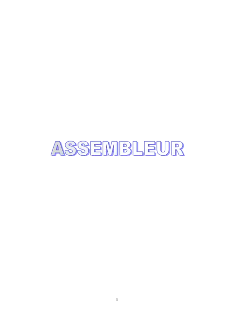 Assembleur - Maîtriser la programmation bas niveau