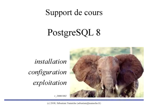 PostgreSQL - Maîtriser les bases de données relationnelles