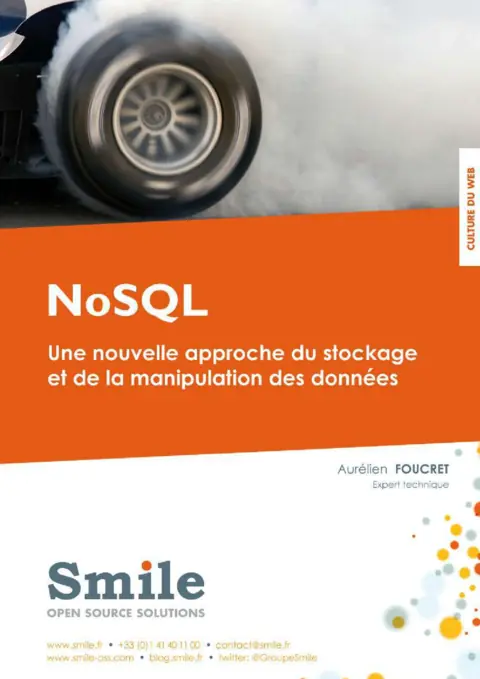 SGBD NoSQL - Maîtriser les bases de données non relationnelles