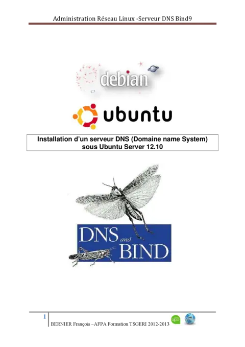 Installation serveur DNS Ubuntu - Guide complet étape par étape