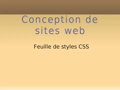 CSS - Maîtriser les styles web professionnels