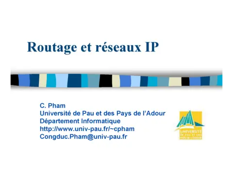 Routage et réseaux IP - Maîtriser les protocoles IP