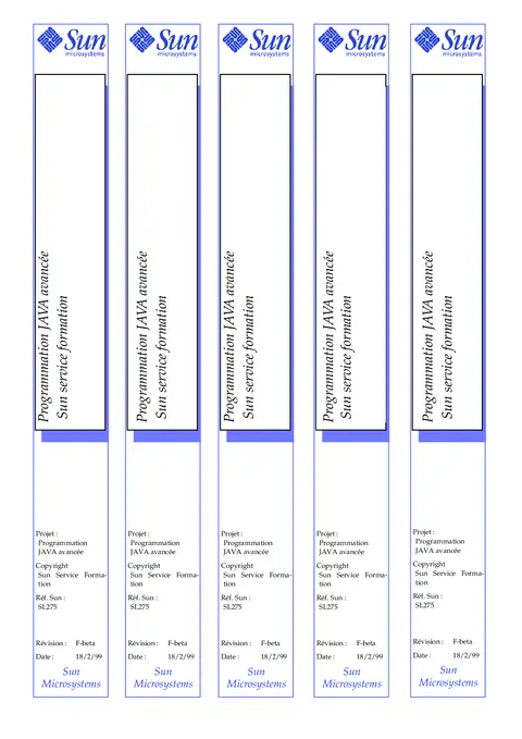 Programmation JAVA avancée - Maîtriser les concepts experts