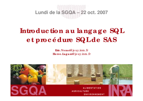 SQL et procédures SQL - Maîtriser les bases et requêtes