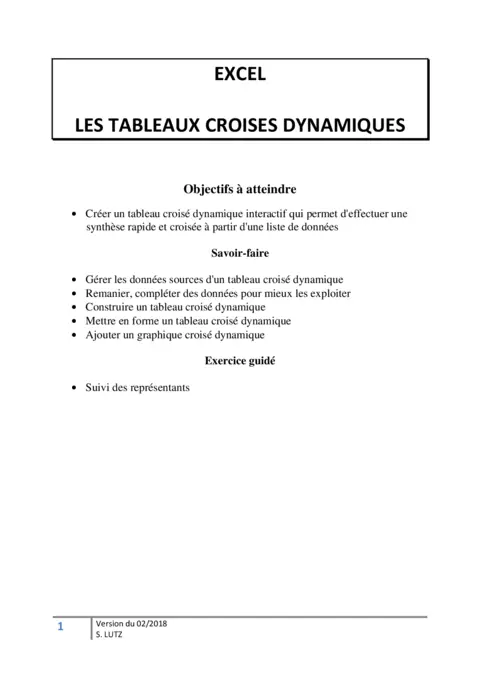 Tableaux croisés dynamiques Excel : PDF gratuit