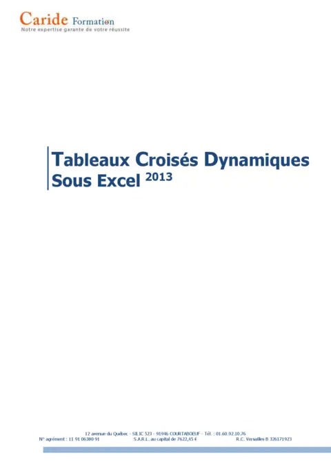 Cours TCD Excel 2013 : Télécharger le PDF gratuit