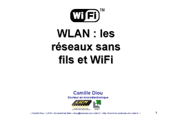 WiFi et sans fils (WLAN)